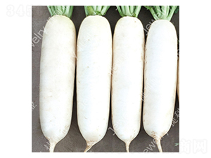 CR���紺2̖(h��o)-�}���N��-������