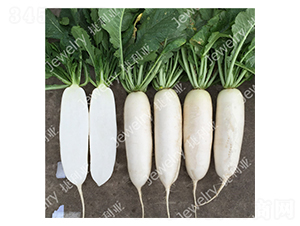 ������45-�}���N��-������