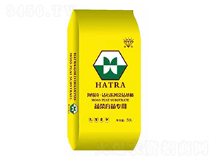 �߲����猣��-�@ʯϵ�н��@���|(zh��)-������