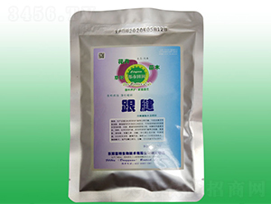 跟腱（凈化根腐）-富特生物