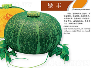 �G�S-�ϹϷN��-ʒ�·N�I(y��)