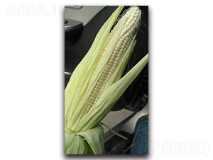 ����Ŵ9̖-Ŵ���׷N��-����N��