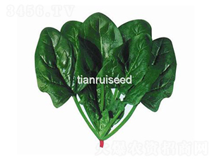 ������-���˷N��-����N��