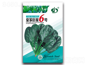 �ʼҾ���6̖(h��o)-���˷N��-����N��