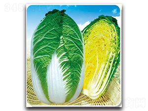 �\�S��-�ײ˷N��-����N��