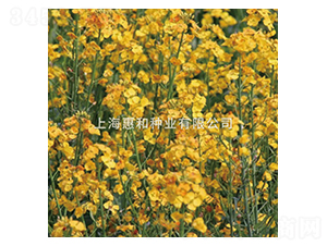 ����һ̖-�Ͳ˷N��-�ݺͷN�I(y��)