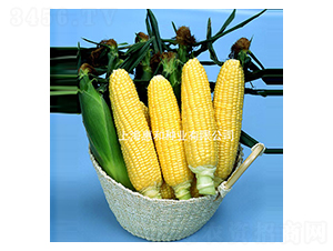 ���88-���׷N��-�ݺͷN�I(y��)