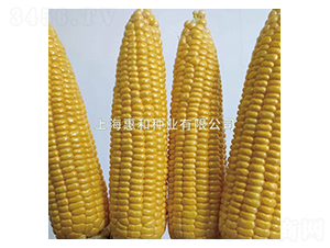 ����һ̖-���׷N��-�ݺͷN�I(y��)