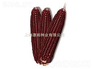 ���tŴ1̖-Ŵ���׷N��-�ݺͷN�I(y��)