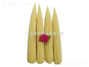 ��S55-�S���׷N��-�ݺͷN�I(y��)