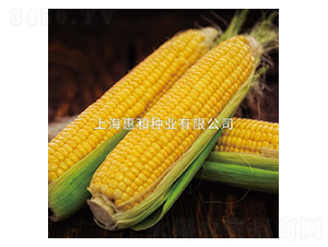 ������̖-���׷N��-�ݺͷN�I(y��)