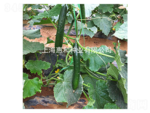 ����518-�S�ϷN��-�ݺͷN�I(y��)