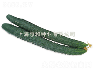 ���S��̖(h��o)-�S�ϷN��-�ݺͷN�I(y��)