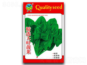 ���x���~����-���˷N��-����