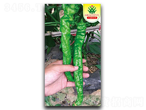 旋風(fēng)椒龍-辣椒種子-優(yōu)美農(nóng)業(yè)