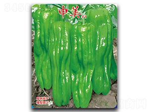 申美-辣椒種子-優(yōu)美農(nóng)業(yè)
