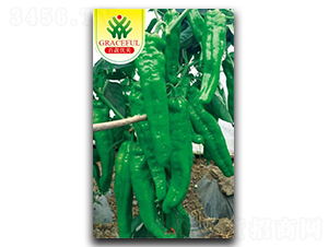 泰山-辣椒種子-優(yōu)美農(nóng)業(yè)