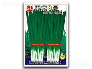 ƽ�S8̖-�²˷N��-ƽ�S�N�I(y��)