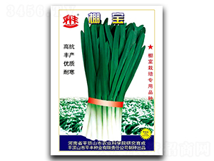 �-�²˷N��-ƽ�S�N�I(y��)