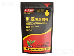 �VԴ�S�����-�W˹�D