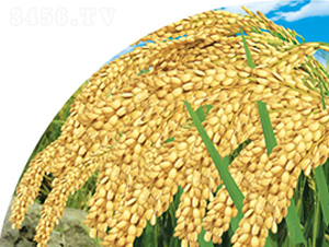 ������-ˮ���N��-���S�N�I(y��)