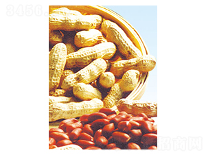 �����t-�����N��-���S�N�I(y��)