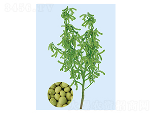 �_(t��i)��75-3-ë���N��-���S�N�I(y��)