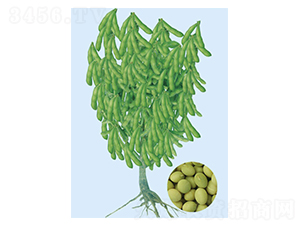 �|��3̖(h��o)-ë���N��-���S�N�I(y��)