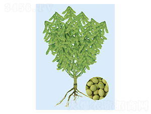 �|��һ̖(h��o)-ë���N��-���S�N�I(y��)