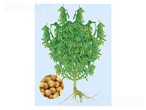 �F��60-�󶹷N��-���S�N�I(y��)