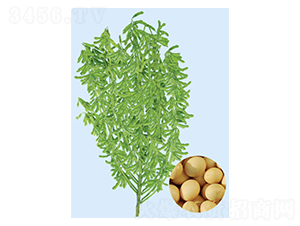 �|��32-�󶹷N��-���S�N�I(y��)