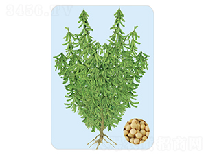 SD-F-�󶹷N��-���S�N�I(y��)