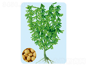 �|��22-�󶹷N��-���S�N�I(y��)