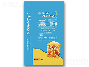 ��������-������