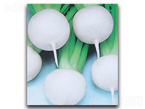 ʏݼ-�}���N��-���ʵ�(l��)