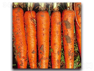 ���tһ̖(h��o)-�}���N��-���ʵ�(l��)