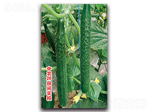 ���r(n��ng)26�S��-�S�ϷN��-���ʵ�