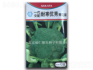 10g耐寒優(yōu)秀-西蘭花種子-福仁德樂(lè)