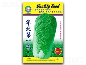 �A����һ��-�ײ˷N��-����