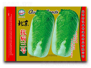 ����������̖-�ײ˷N��-����