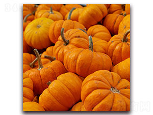 �ϹϷN��-�ȃ�(y��u)�_(d��)