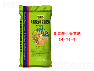 �S���������(f��)�����24-16-5-�����