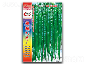 �(zh��n)��24̖-�����N��-�(zh��n)�зN�I(y��)