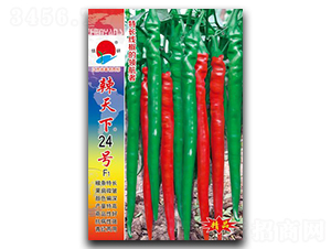 ������24̖-�����N��-�(zh��n)�зN�I(y��)