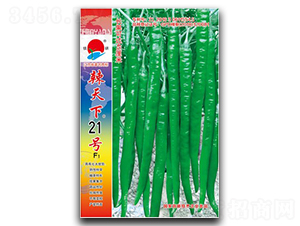 辣天下21號-線椒種子-鎮(zhèn)研種業(yè)