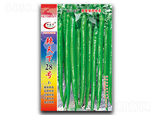 辣天下28號-線椒種子-鎮(zhèn)研種業(yè)