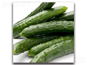 �S�ϷN��-�ȃ�(y��u)�_(d��)