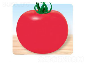 �䌚-���ѷN��-�ȃ�(y��u)�_