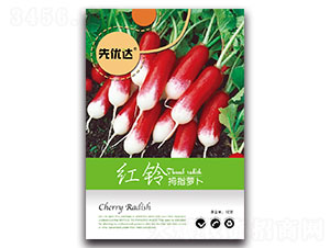 �t�-�}���N��-�ȃ�(y��u)�_