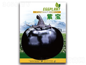 �ό�-���ӷN��-�ȃ�(y��u)�_